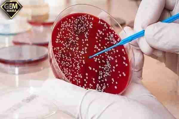 روش درمانی جدید سرطان