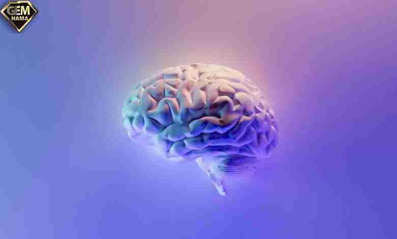 کشف تفاوت های مغزی در افراد مبتلا به ocd
