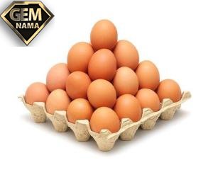 تعداد تخم مرغ ها چندتاست خیلی ها اشتباه جواب دادن