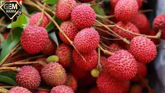 طعم و مزه میوه لیچی یا سرخالو چگونه است
