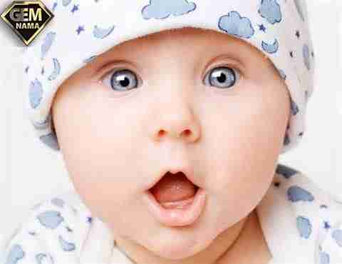 چگونگی آفرینش اجزای بدن