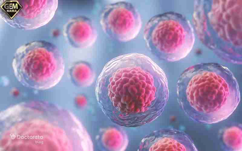 سلولهای بنیادی