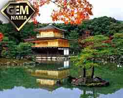 کدام کشور می خواهی بروی