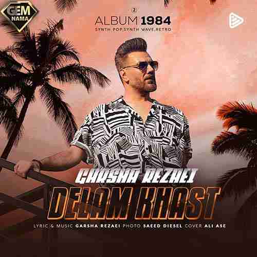 دانلود آهنگ جدید گرشا رضایی به نام دلم خواست