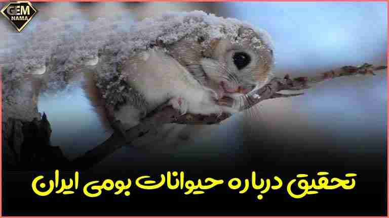 تحقیق درباره حیات وحش ایران