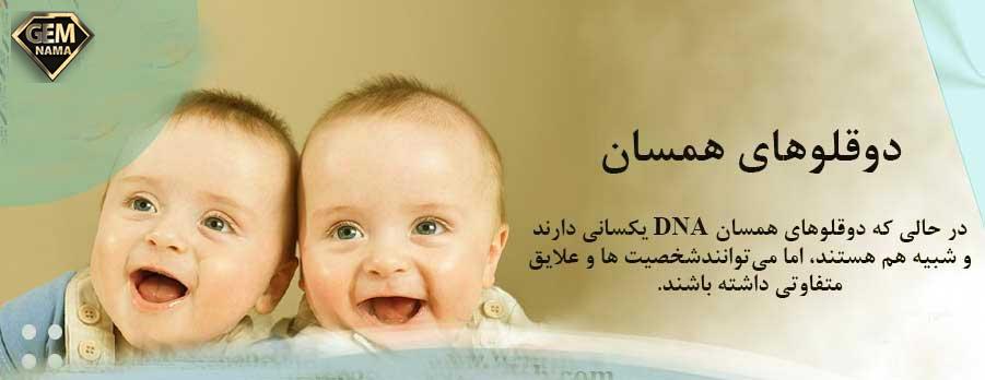 فعالیت صفحه ۷۳ علوم تجربی هشتم