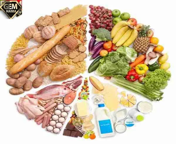 تحقیق در مورد غذای سالم و ناسالم