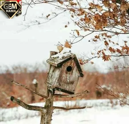 لانه برای جانوران چه فایده ای دارد