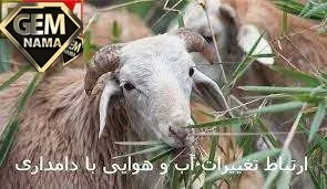 استفاده از روش های علمی کشاورزی و دامپروری چه تاثیری در محیط