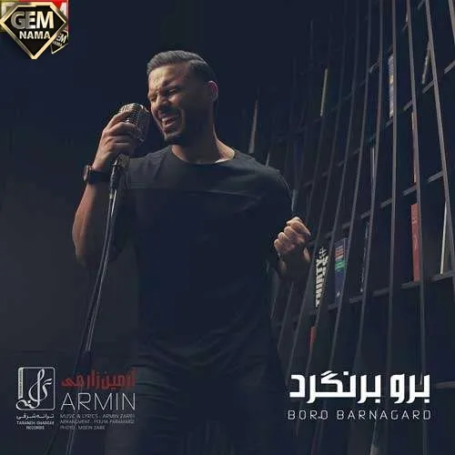 رفتنت چشامو تر نکرد برو بر نگرد