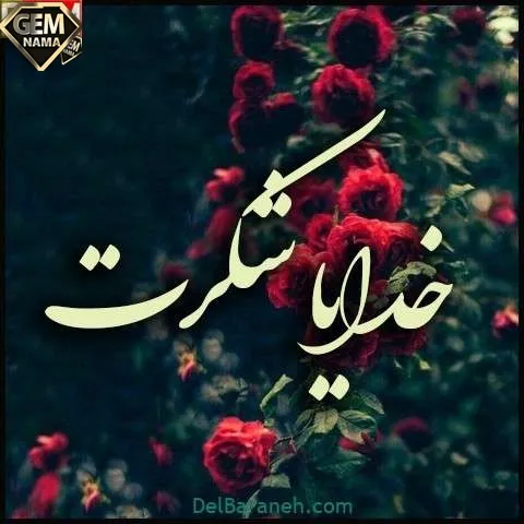 خدایاشکرت بخاطرهمه چیز
