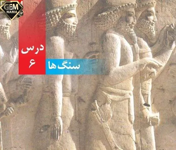 جواب فعالیت صفحه ۴۹ علوم چهارم