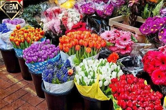متوازی الاضلاعی که قطرهای آن عمود منصف یکدیگرند ولی مساوی نی