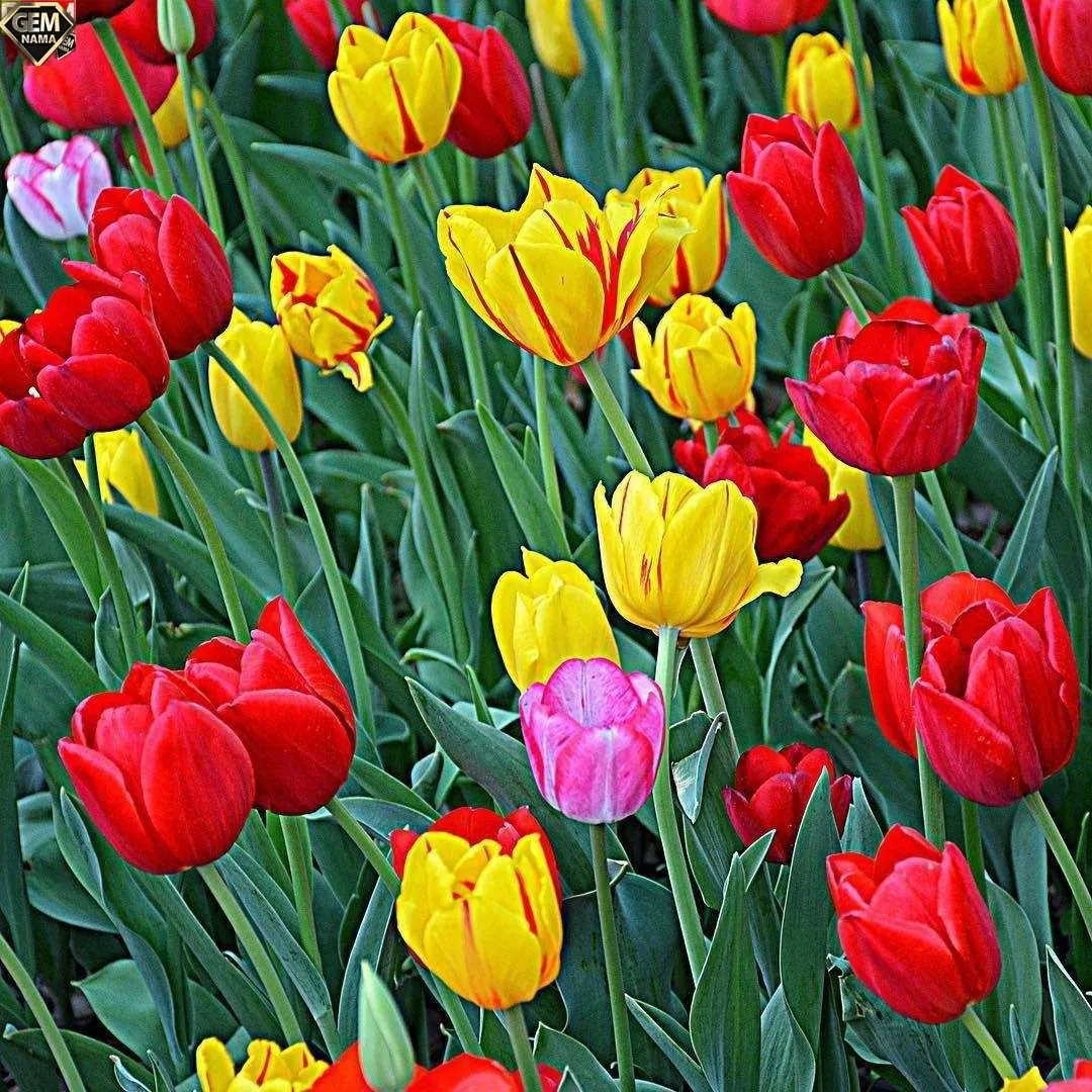 باز نویسی صفحه ی 36 نگارش هفتم