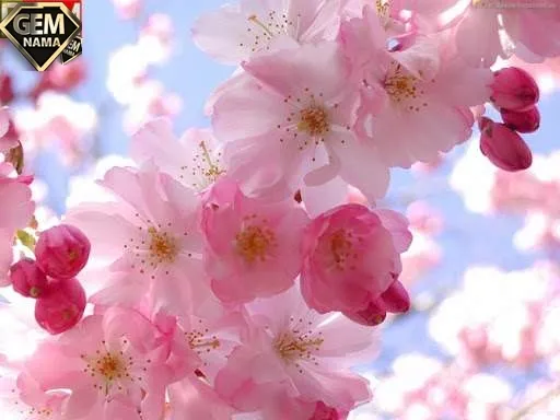 سوالات درس 10 مطالعات اجتماعی ششم با جواب