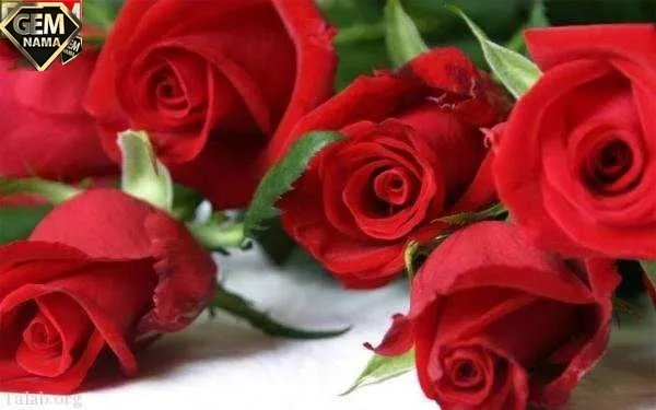 جواب کارگاه درس پژوهی فارسی ششم صفحه ی ۴۸