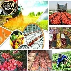 فعالیت درس ششم مطالعات اجتماعی پایه ششم