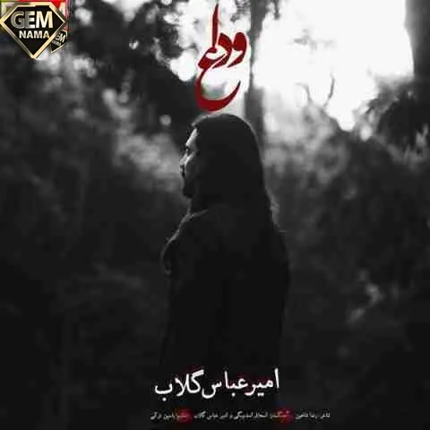 اهنگ امیرعباس گلاب بنام وداع - اهنگ جدید