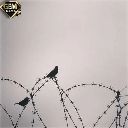 اهنگ دونیا ایکی گونلوک دو با صدای زن