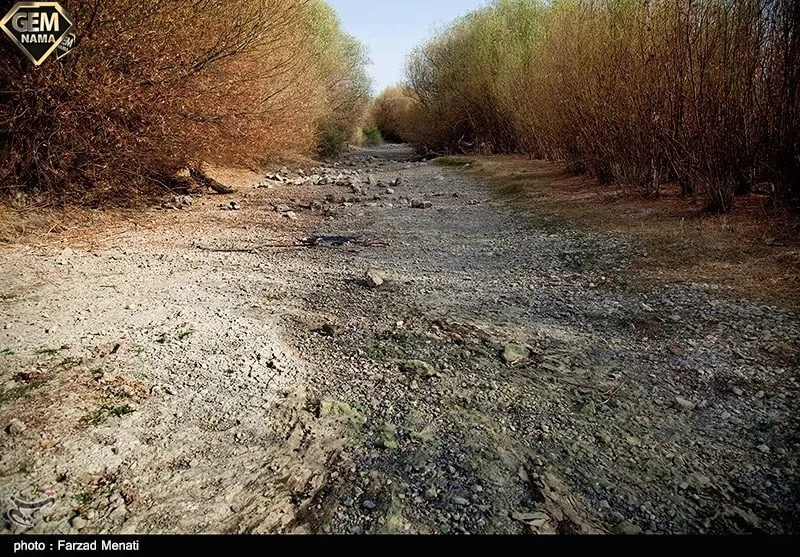 درصوت خشک شدن آب رودخانه ها چه خطری جانداران را تهدید می کند